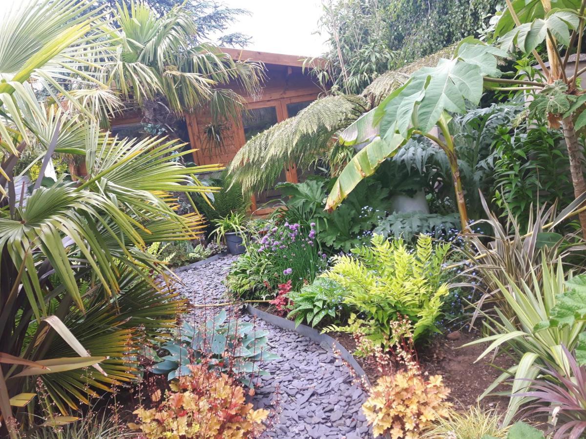 Cabin Set In A Beautiful Romantic Tropical Garden Sutton Coldfield Exteriér fotografie
