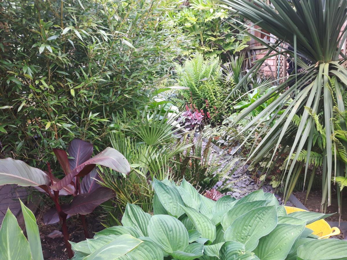 Cabin Set In A Beautiful Romantic Tropical Garden Sutton Coldfield Exteriér fotografie