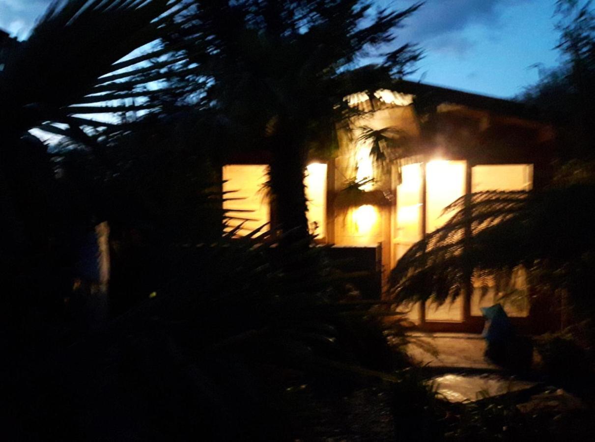 Cabin Set In A Beautiful Romantic Tropical Garden Sutton Coldfield Exteriér fotografie